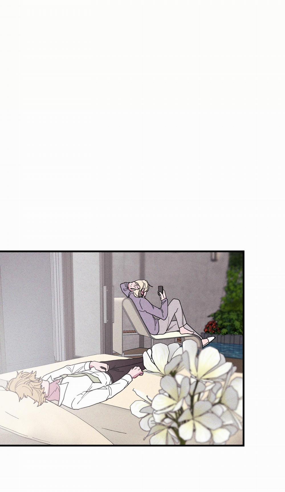 Bánh Quy Tẩm Đá 46 trang 14