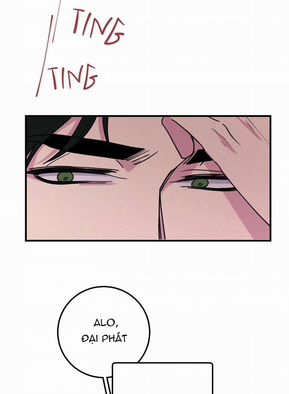 Bánh Quy Tẩm Đá 46 trang 4