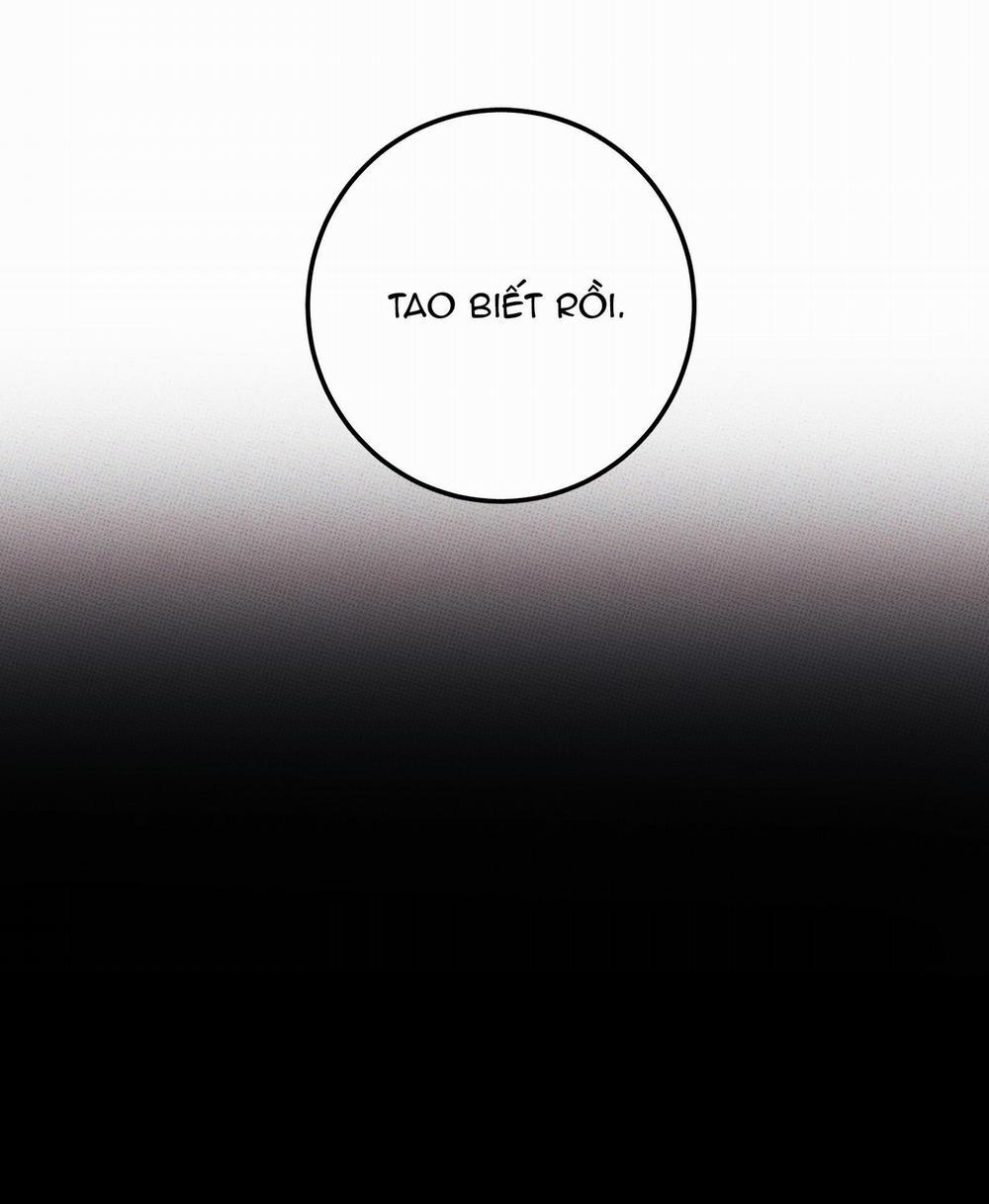 Bánh Quy Tẩm Đá 46 trang 8