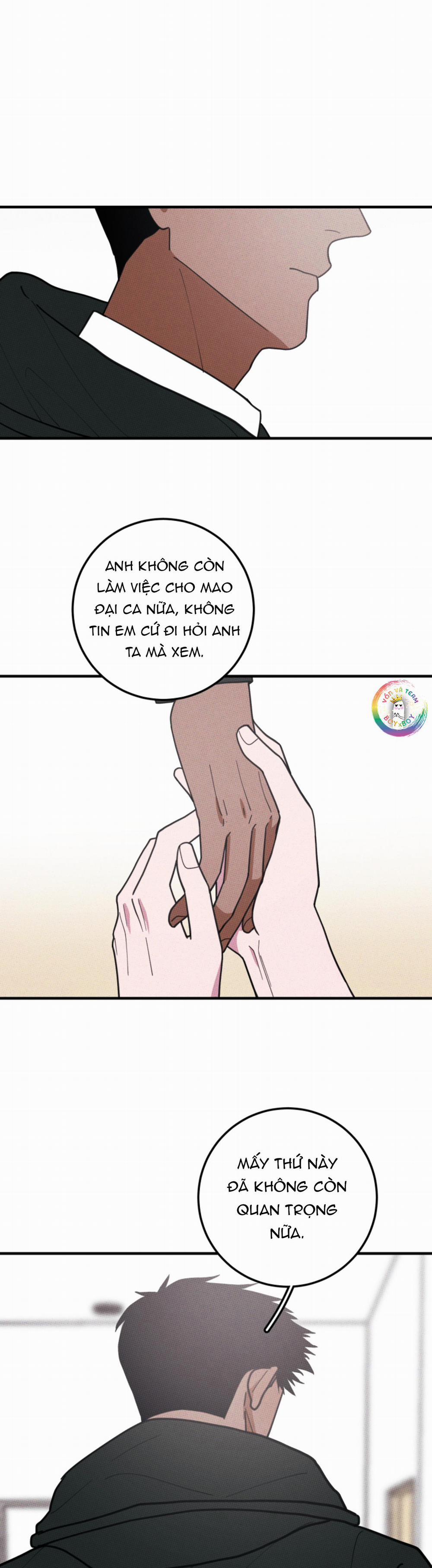 Bánh Quy Tẩm Đá 48 trang 11