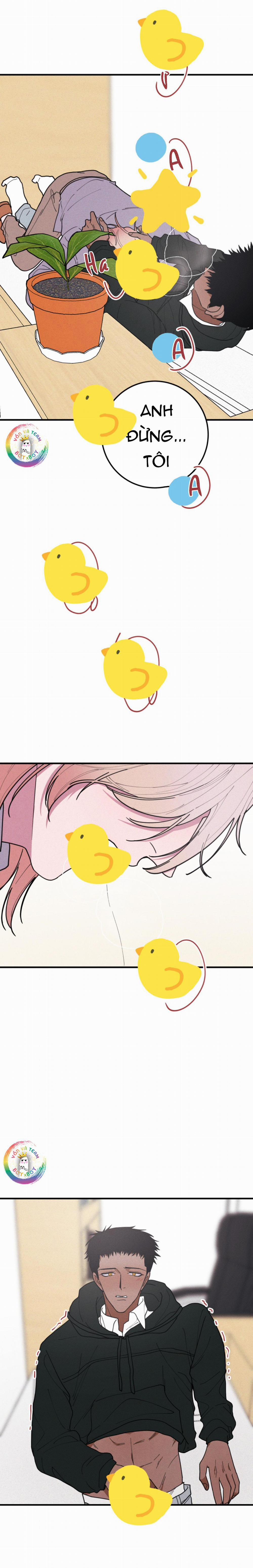 Bánh Quy Tẩm Đá 48 trang 16