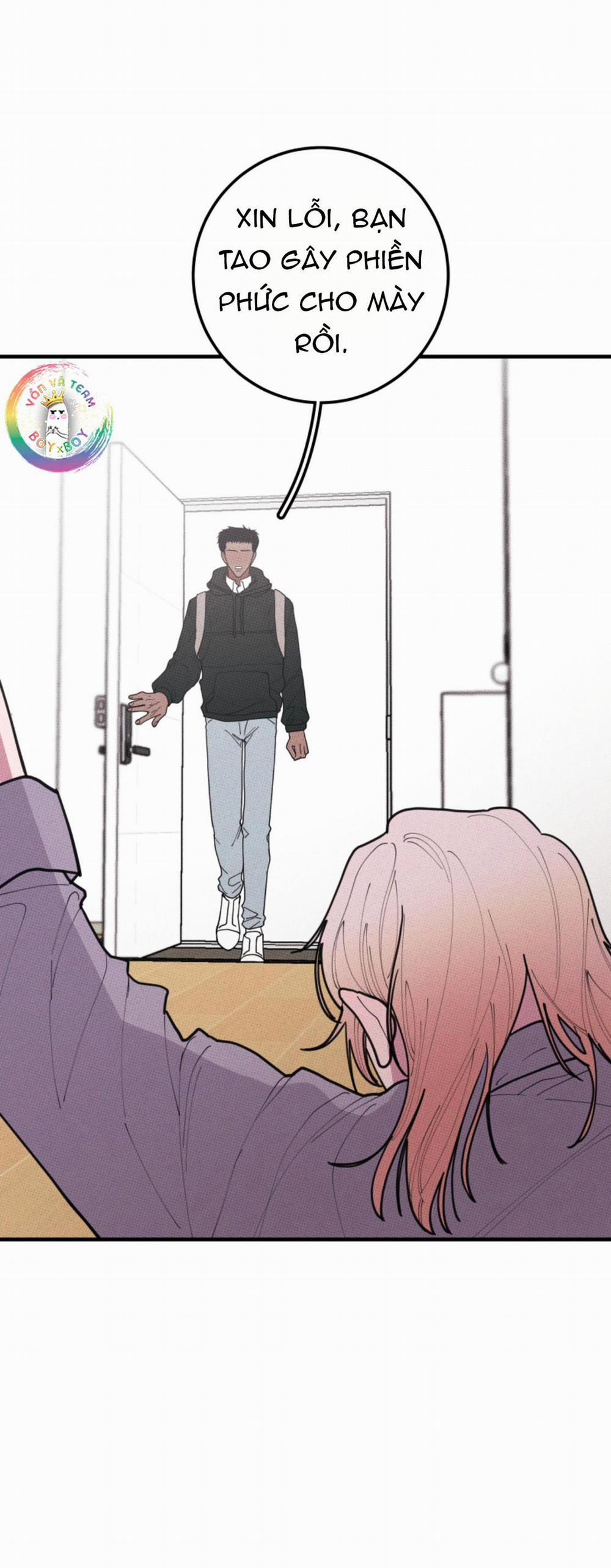 Bánh Quy Tẩm Đá 48 trang 5