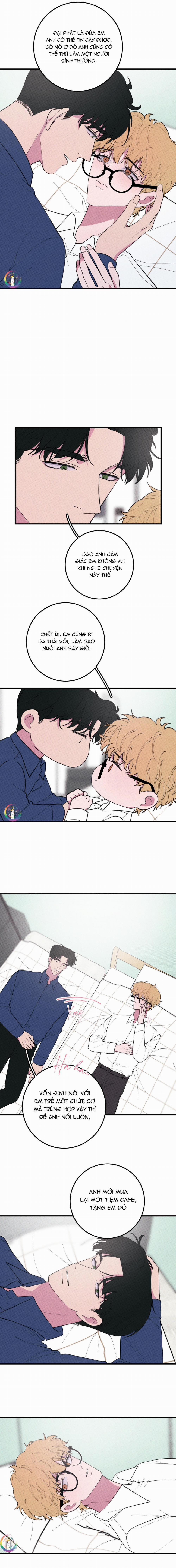 Bánh Quy Tẩm Đá 50 trang 5