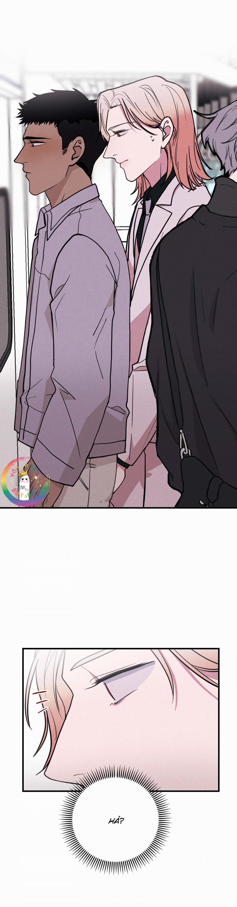 Bánh Quy Tẩm Đá 9 trang 2