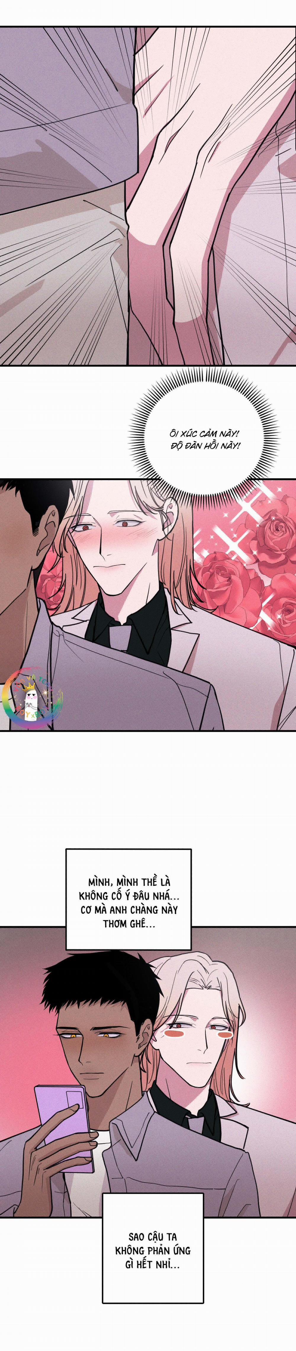 Bánh Quy Tẩm Đá 9 trang 3