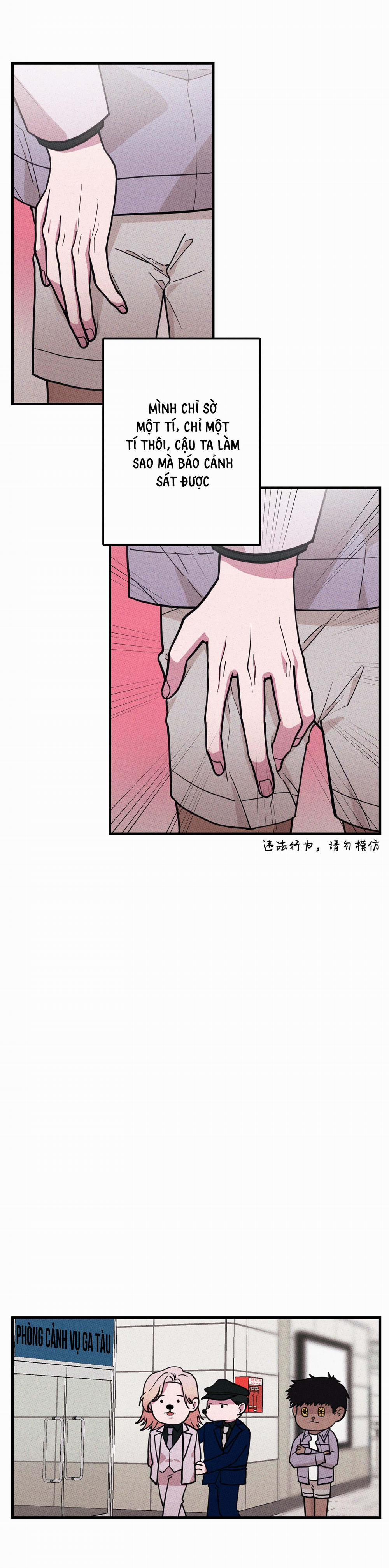 Bánh Quy Tẩm Đá 9 trang 4