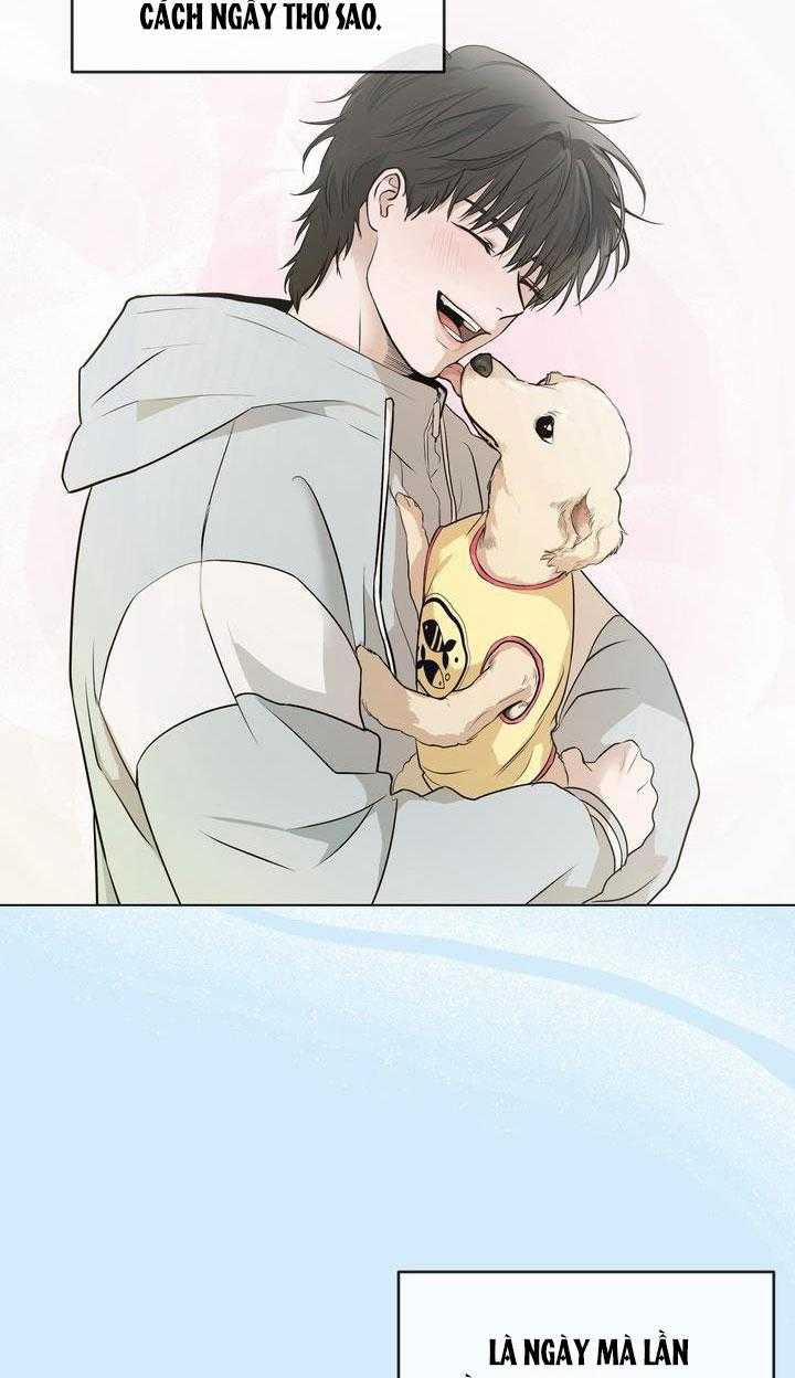 Bánh Quy Tình Yêu Tan Chảy 11 trang 4