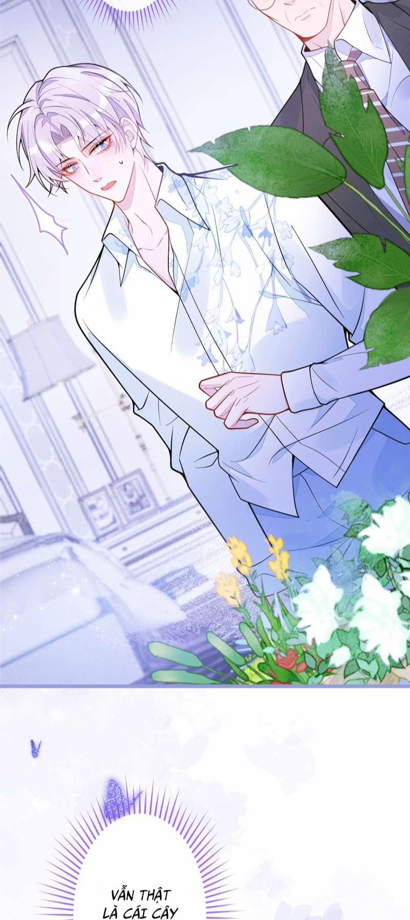 Báo Ân Của Sói 12 trang 11