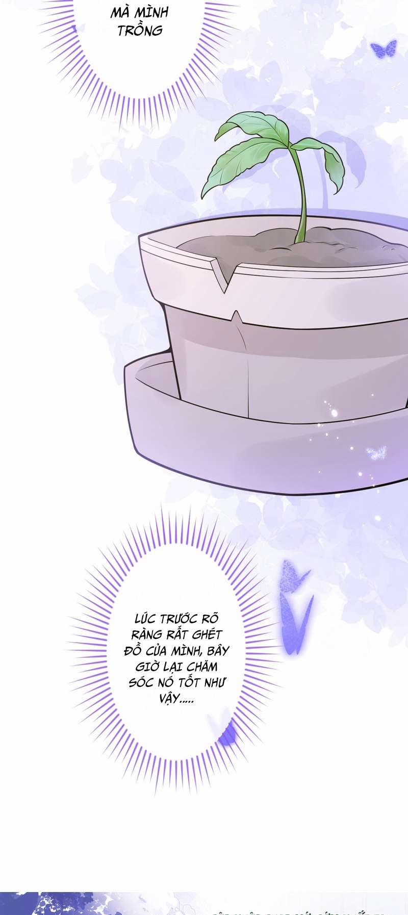 Báo Ân Của Sói 12 trang 12