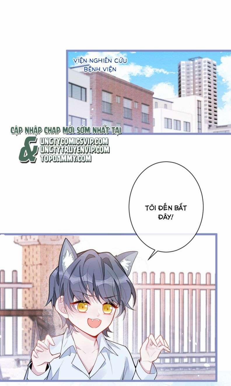 Báo Ân Của Sói 3 trang 26