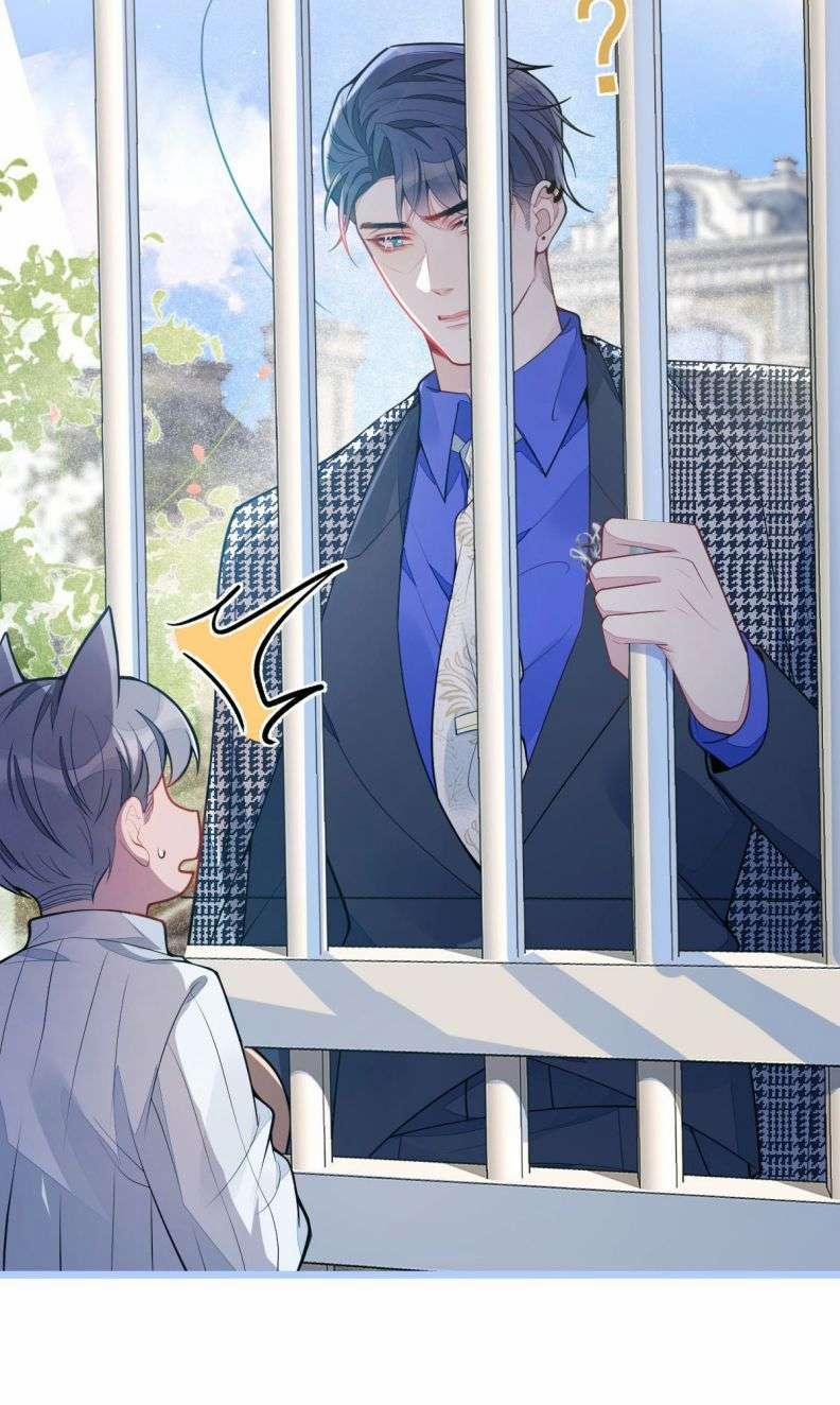 Báo Ân Của Sói 3 trang 38