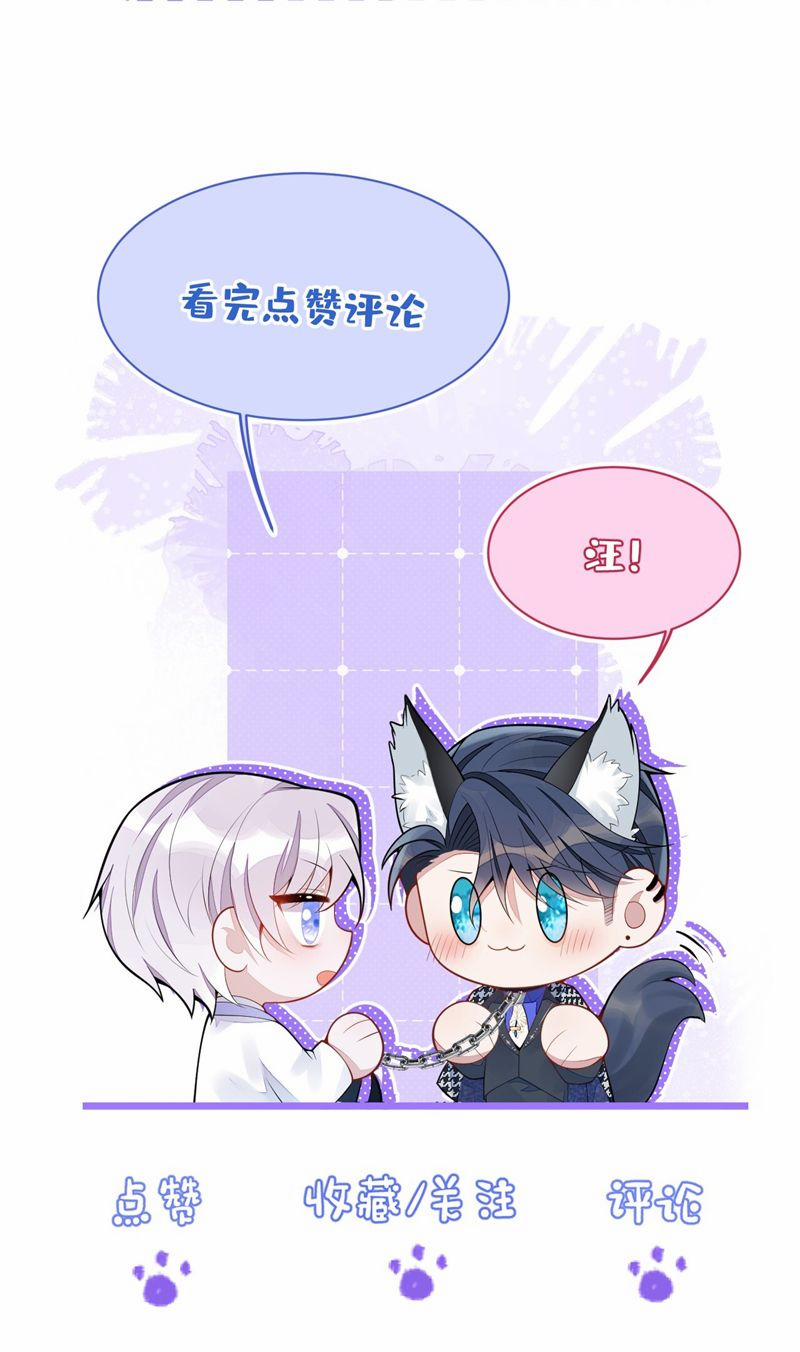 Báo Ân Của Sói 32 trang 48