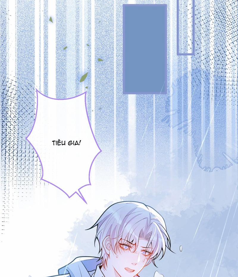 Báo Ân Của Sói 35 trang 12