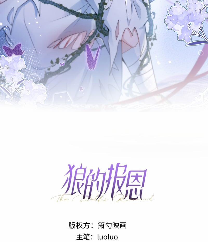 Báo Ân Của Sói 35 trang 2