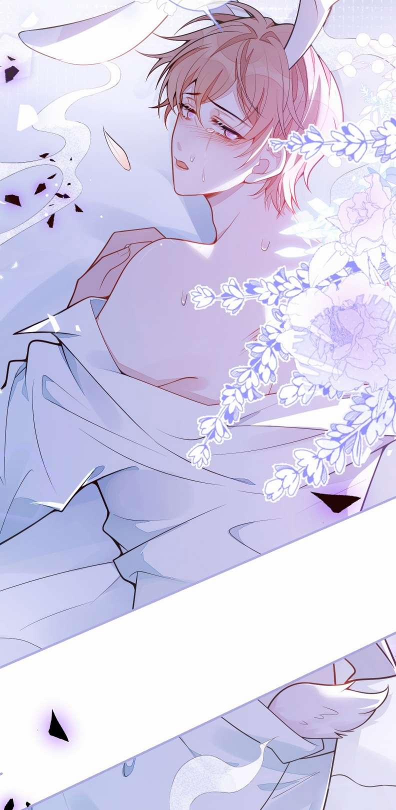 Báo Ân Của Sói 4 trang 11