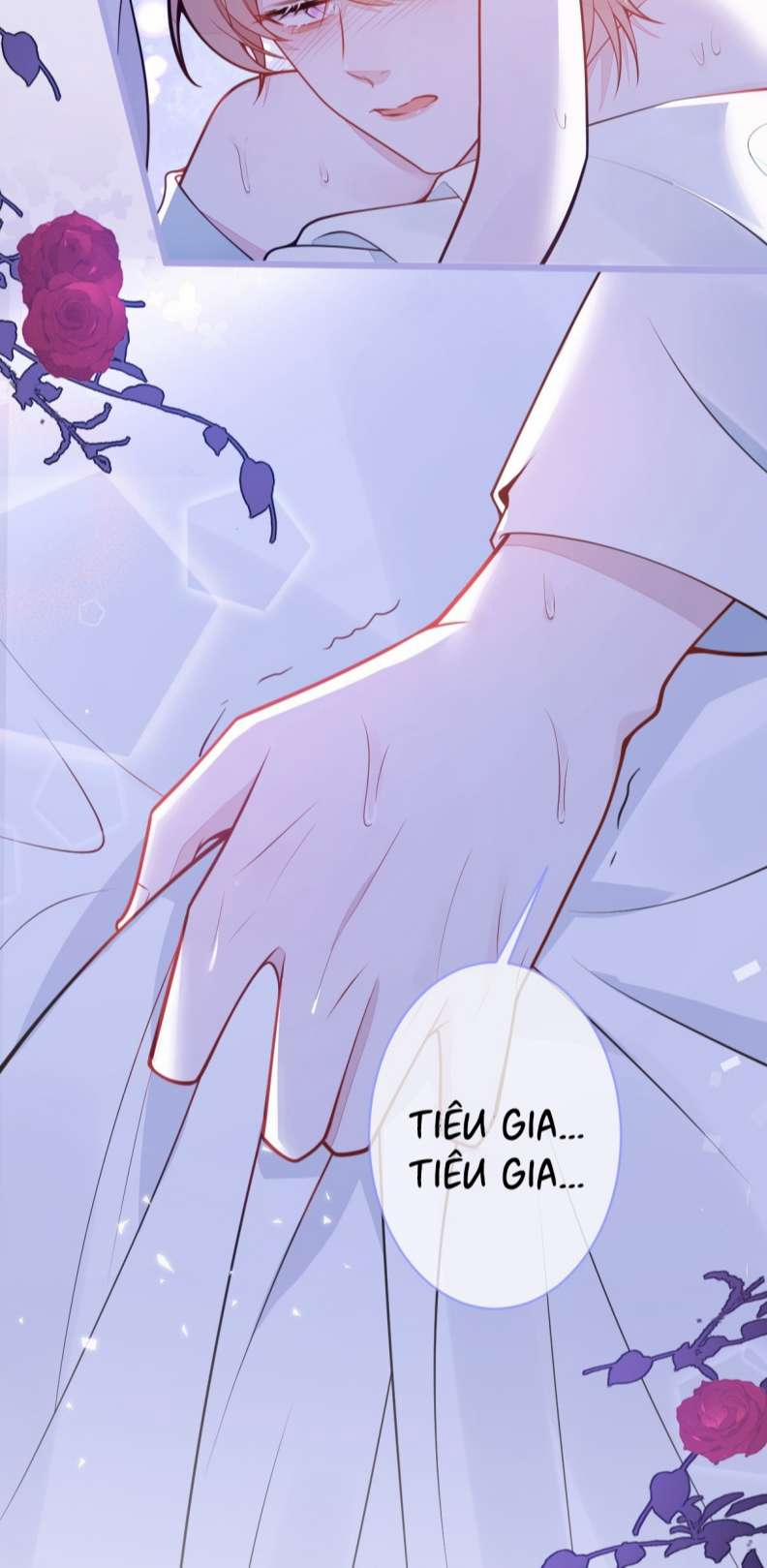 Báo Ân Của Sói 4 trang 13