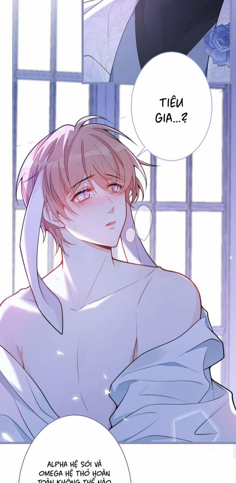 Báo Ân Của Sói 4 trang 15