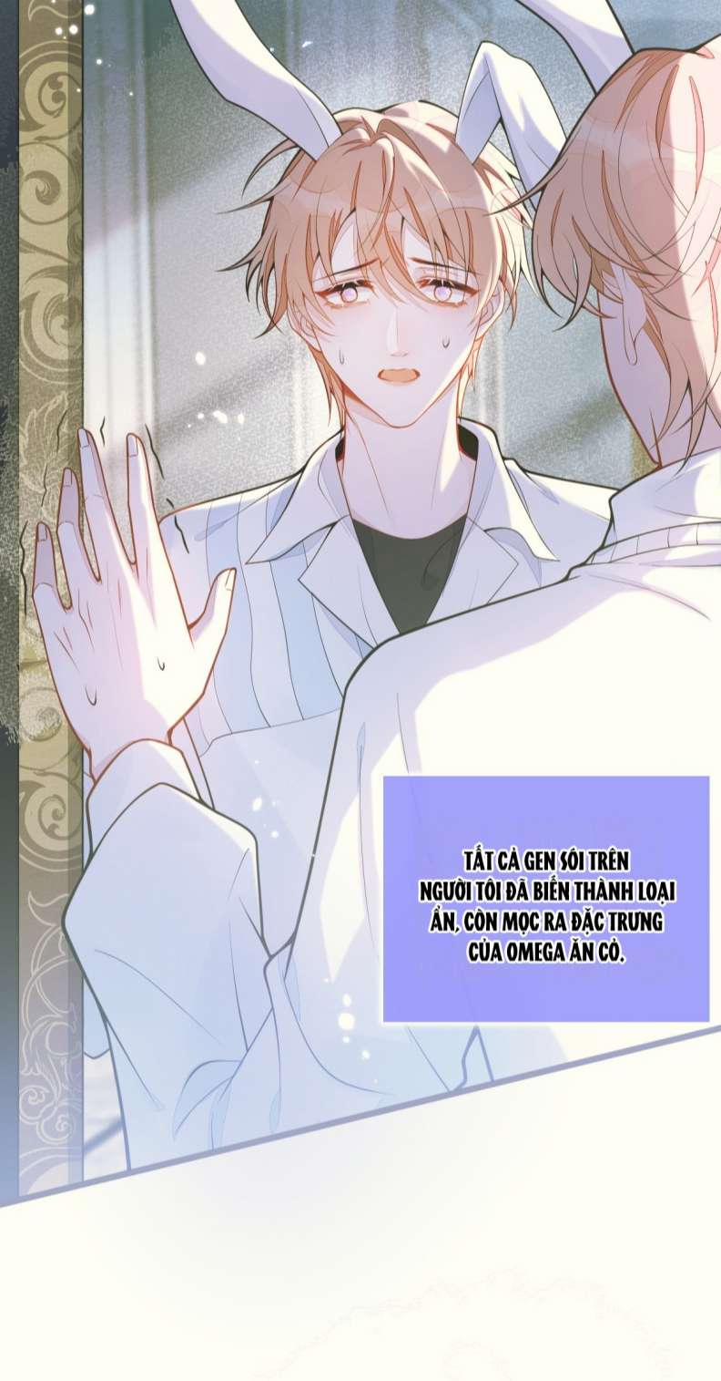 Báo Ân Của Sói 4 trang 29