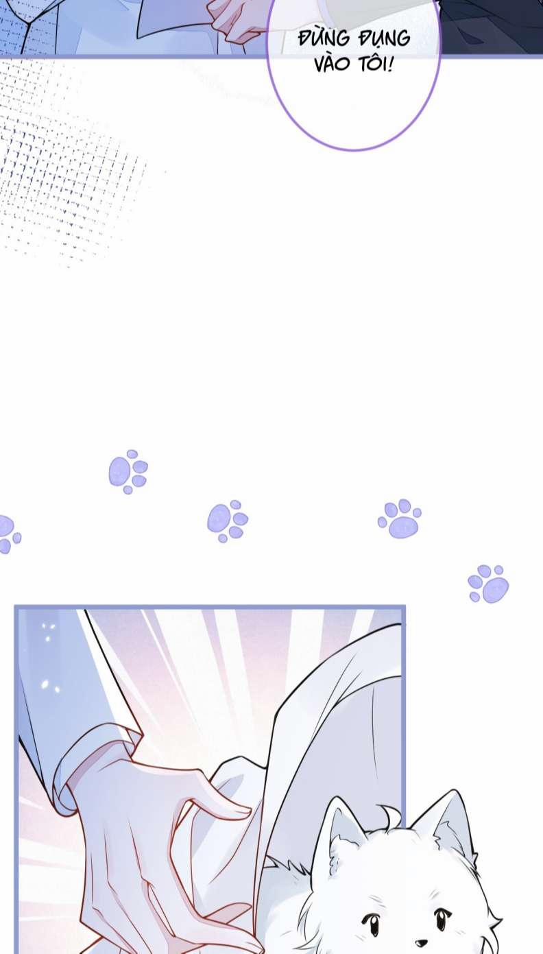 Báo Ân Của Sói 4 trang 43