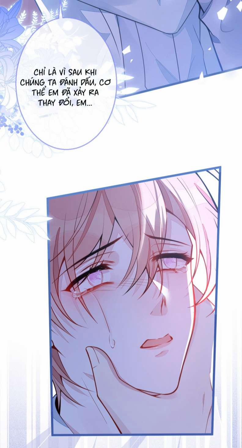 Báo Ân Của Sói 4 trang 6