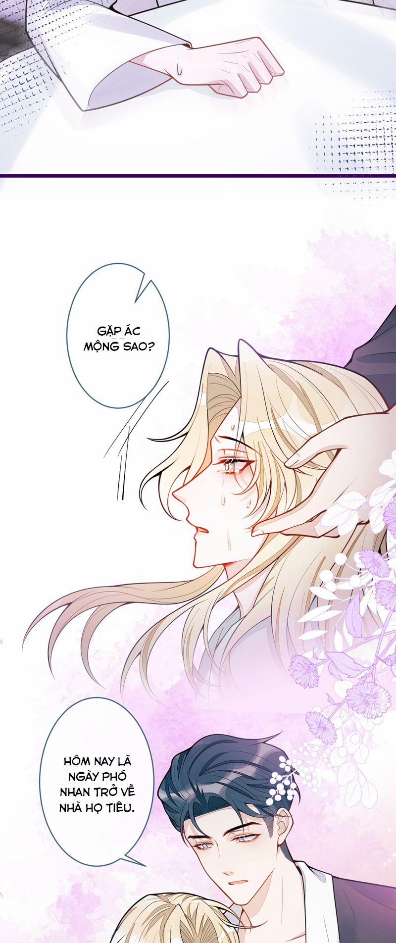 Báo Ân Của Sói 41 trang 12