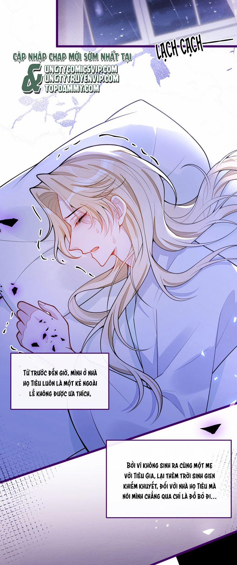 Báo Ân Của Sói 41 trang 2