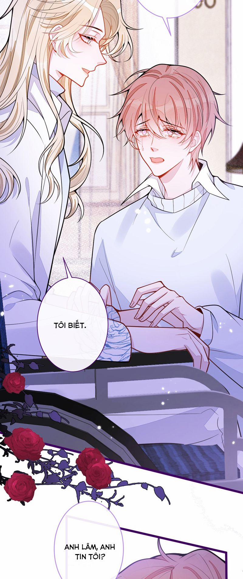 Báo Ân Của Sói 41 trang 5