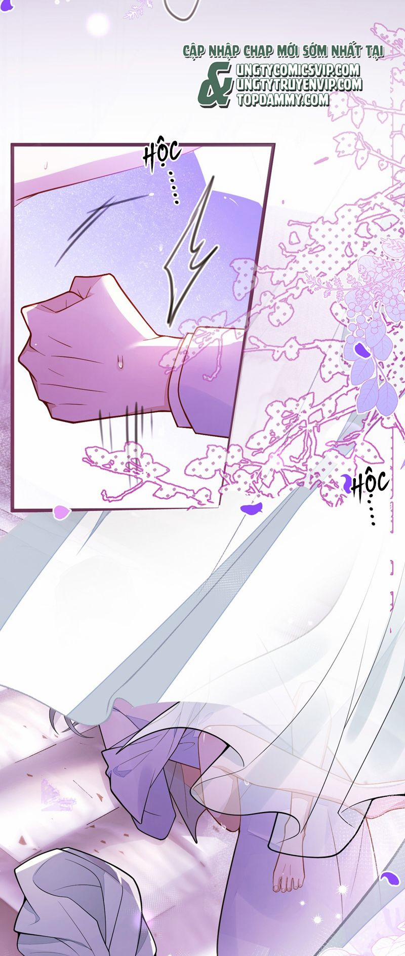 Báo Ân Của Sói 43 trang 20