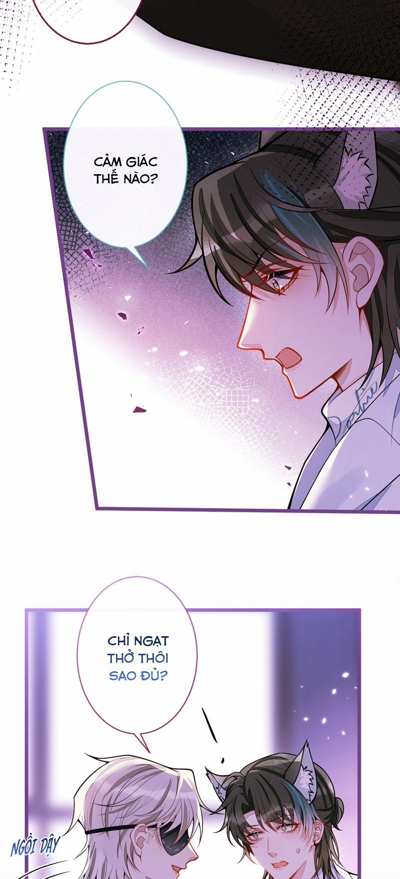 Báo Ân Của Sói 44 trang 10