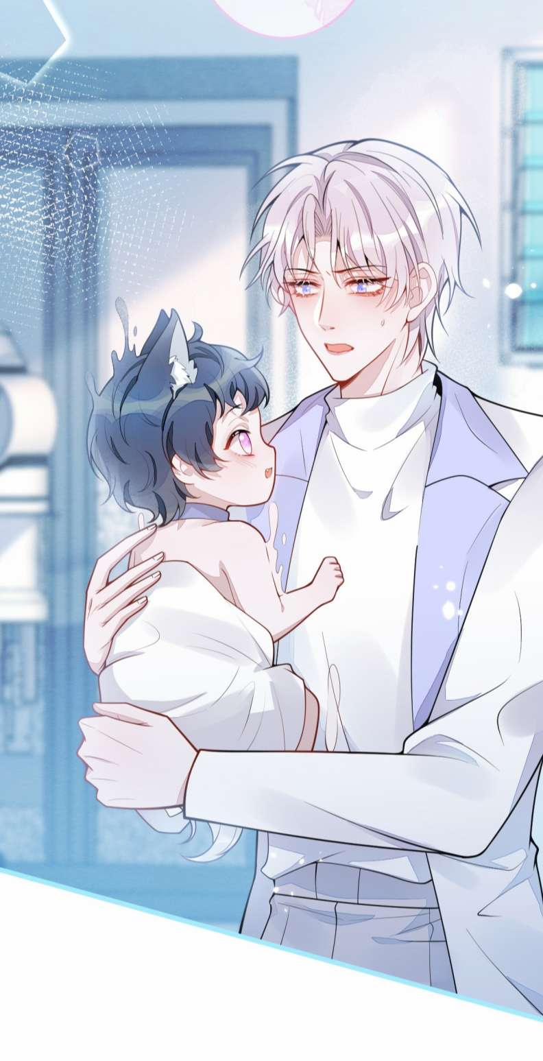 Báo Ân Của Sói 5 trang 17