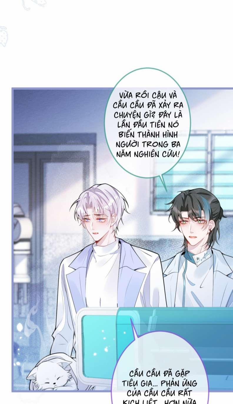 Báo Ân Của Sói 5 trang 22