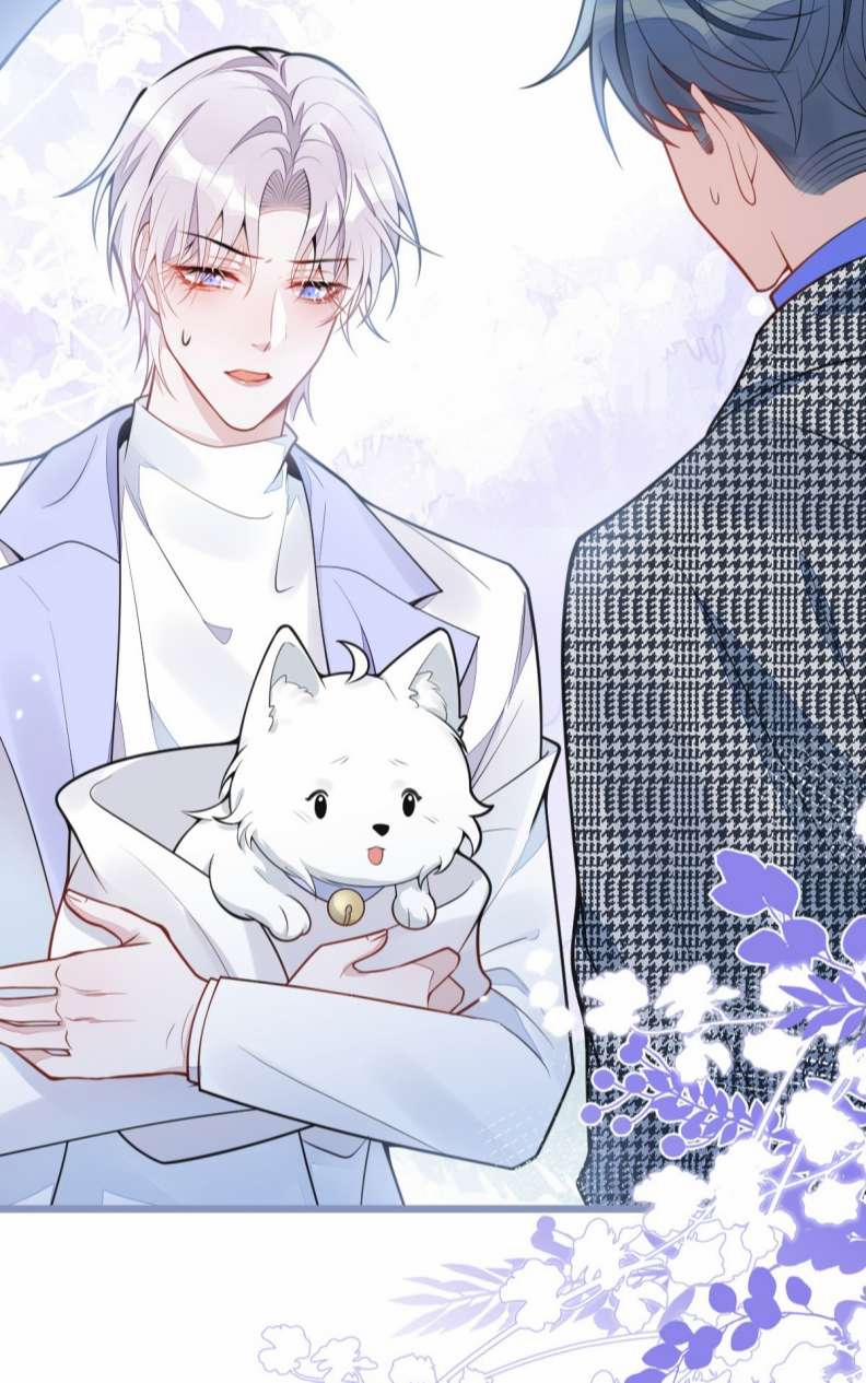 Báo Ân Của Sói 5 trang 7