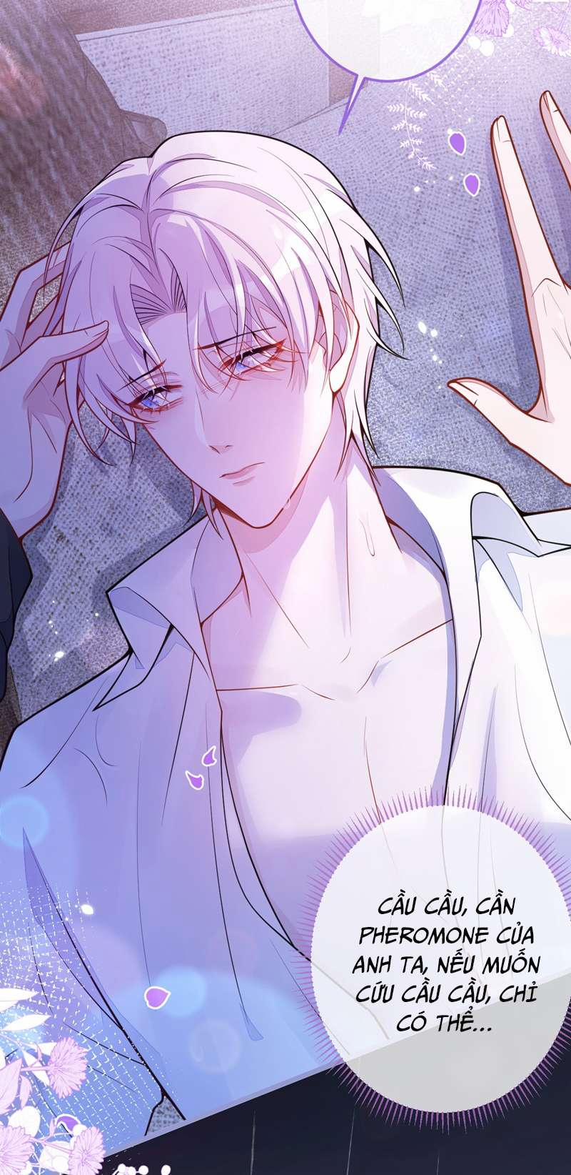 Báo Ân Của Sói 6 trang 11