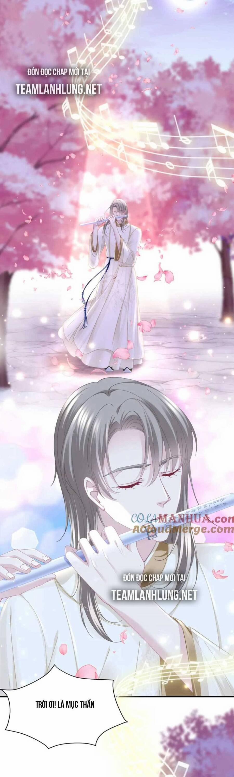 Bảo Bối Tâm Gan Của Lão Đại Xuyên Không Trở Lại Rồi 185 trang 13