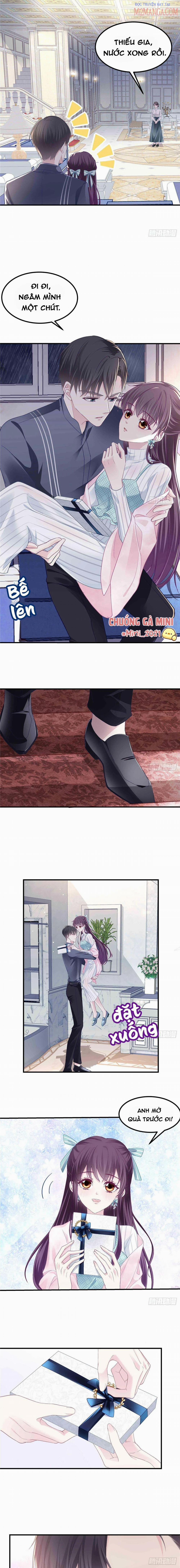 Bảo Bối Tâm Gan Của Lão Đại Xuyên Không Trở Lại Rồi 8 trang 4