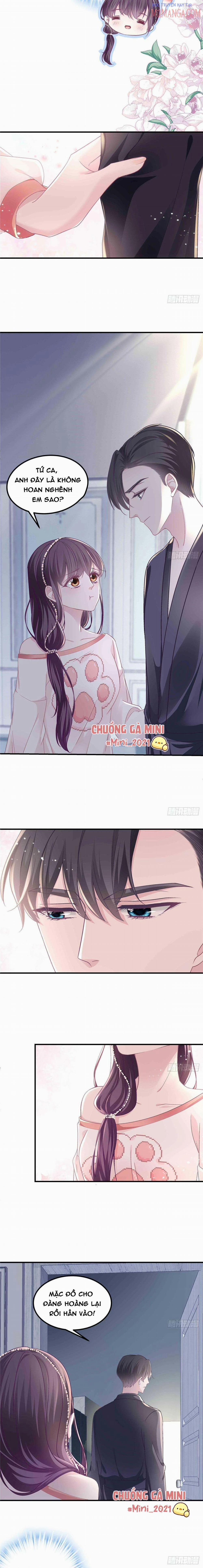 Bảo Bối Tâm Gan Của Lão Đại Xuyên Không Trở Lại Rồi 9 trang 4