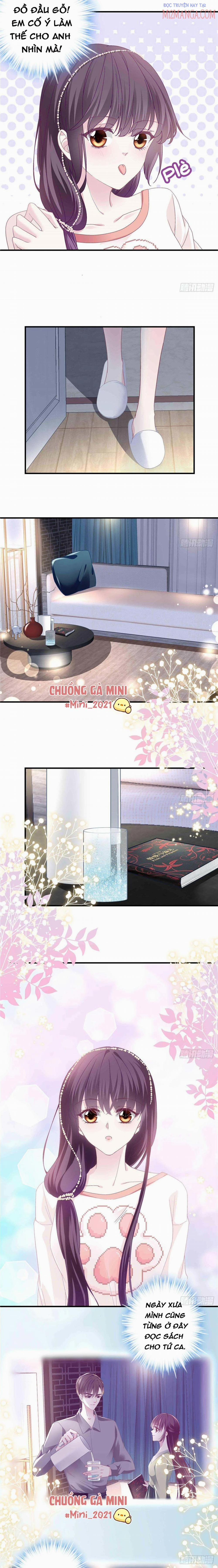 Bảo Bối Tâm Gan Của Lão Đại Xuyên Không Trở Lại Rồi 9 trang 5