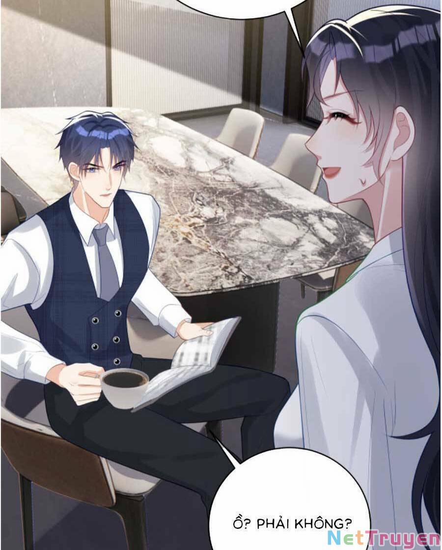 Bảo Bối Trời Cho: Hoắc Gia Xin Ký Nhận 20 trang 12