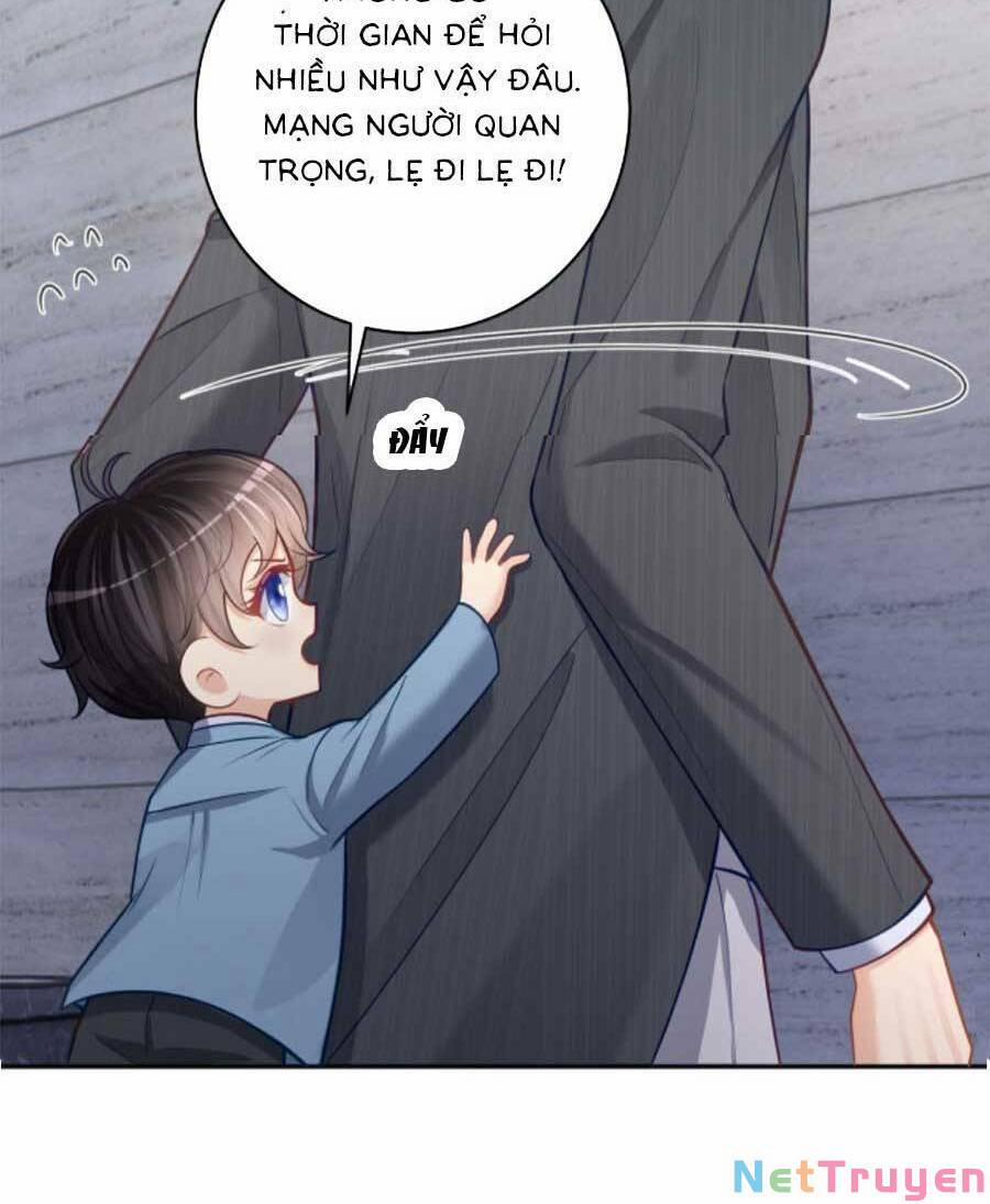 Bảo Bối Trời Cho: Hoắc Gia Xin Ký Nhận 8 trang 15