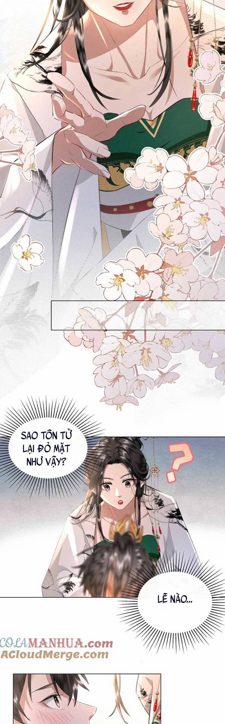 Báo Cáo Bạo Quân, Phi Tần Là Tổ Tông Của Người 12 trang 3