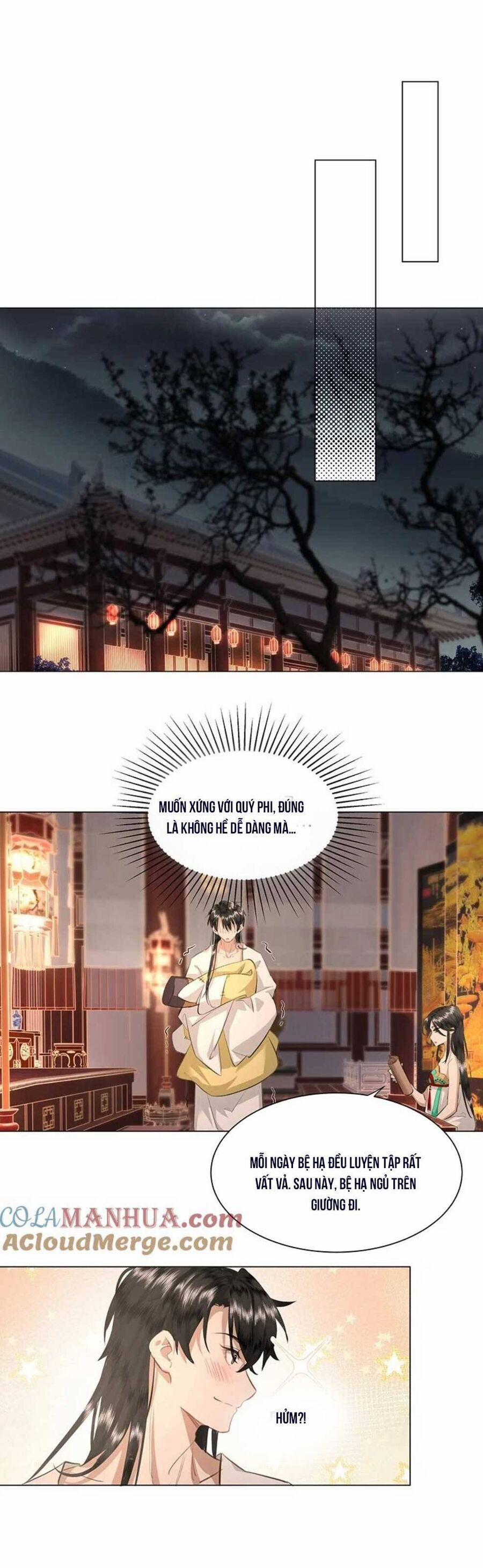 Báo Cáo Bạo Quân, Phi Tần Là Tổ Tông Của Người 16 trang 14