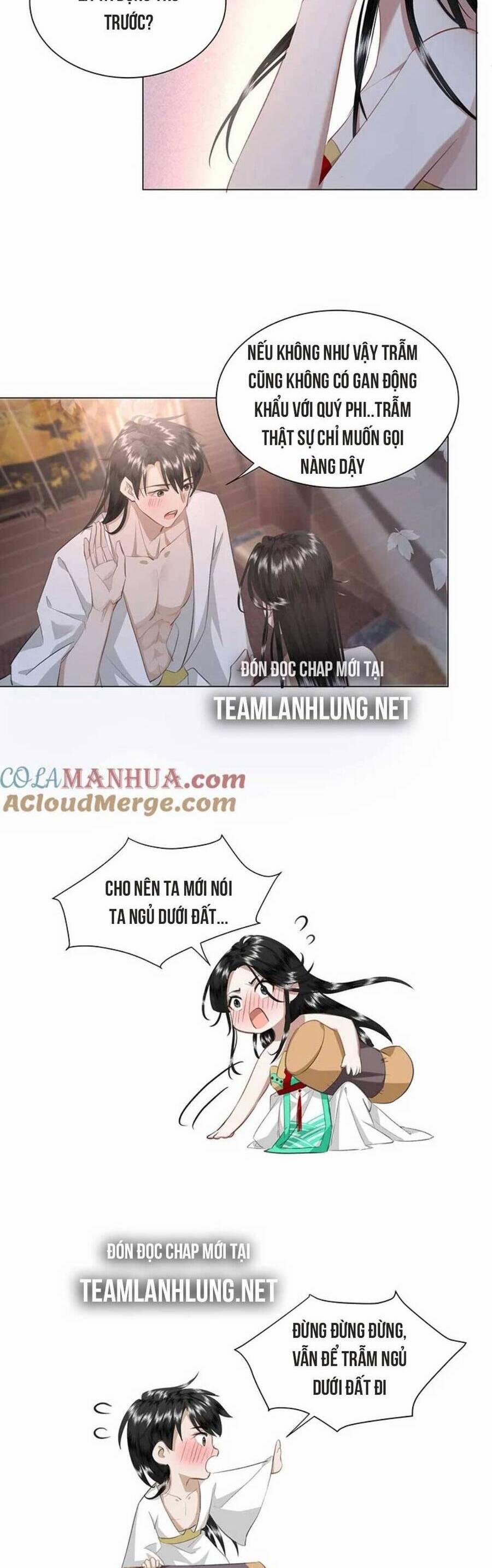 Báo Cáo Bạo Quân, Phi Tần Là Tổ Tông Của Người 17 trang 7