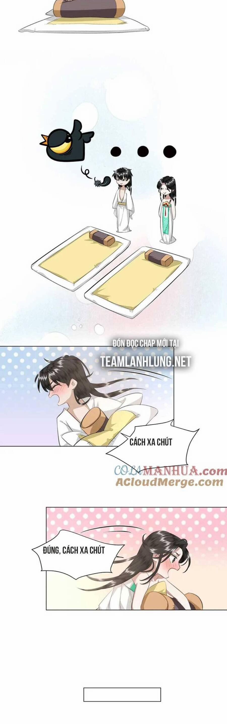 Báo Cáo Bạo Quân, Phi Tần Là Tổ Tông Của Người 17 trang 8