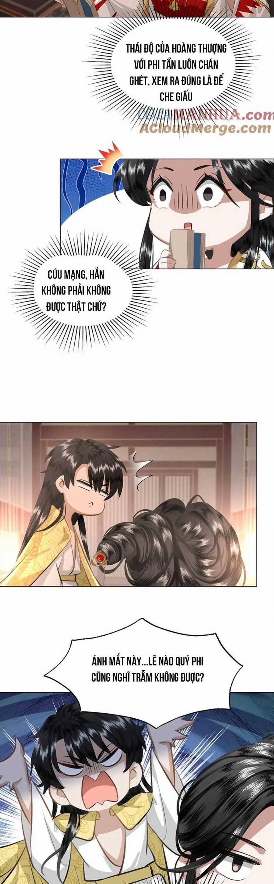 Báo Cáo Bạo Quân, Phi Tần Là Tổ Tông Của Người 20 trang 16