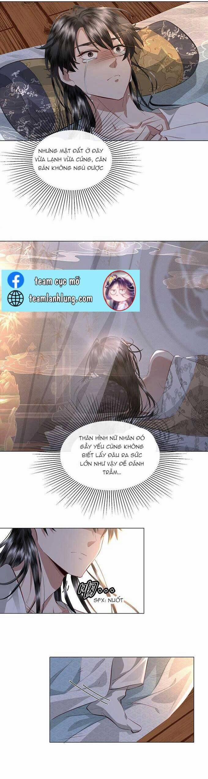 Báo Cáo Bạo Quân, Phi Tần Là Tổ Tông Của Người 8 trang 4