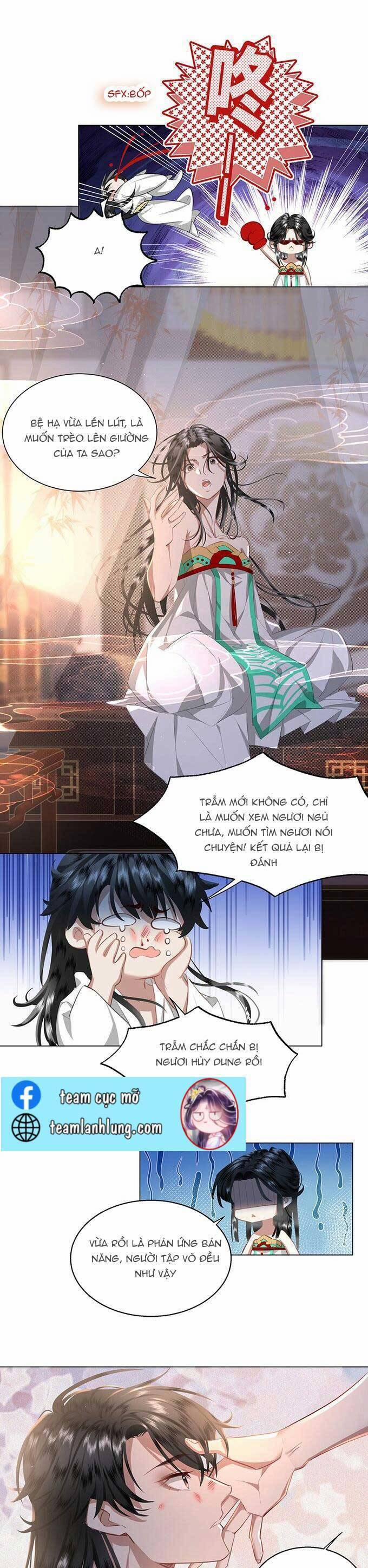 Báo Cáo Bạo Quân, Phi Tần Là Tổ Tông Của Người 8 trang 6