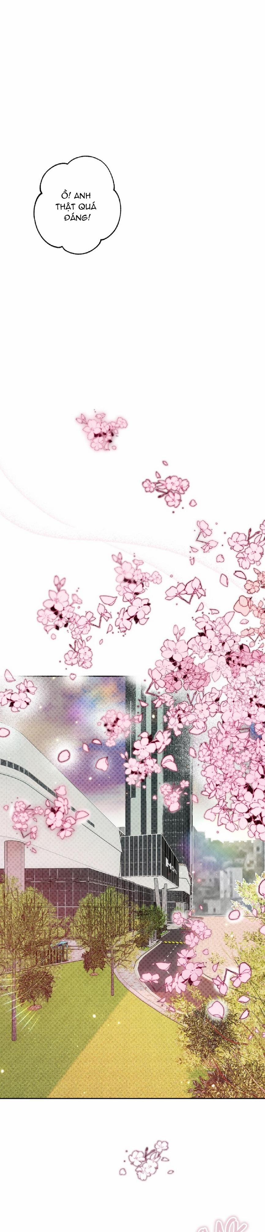 Báo Cáo Chụp Tuyến Tiền Liệtt 5 trang 28