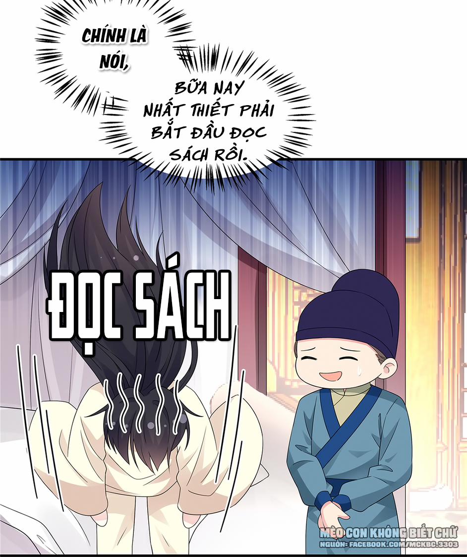 Báo Cáo! Đế Quân Ngài Có Độc! 26 trang 22