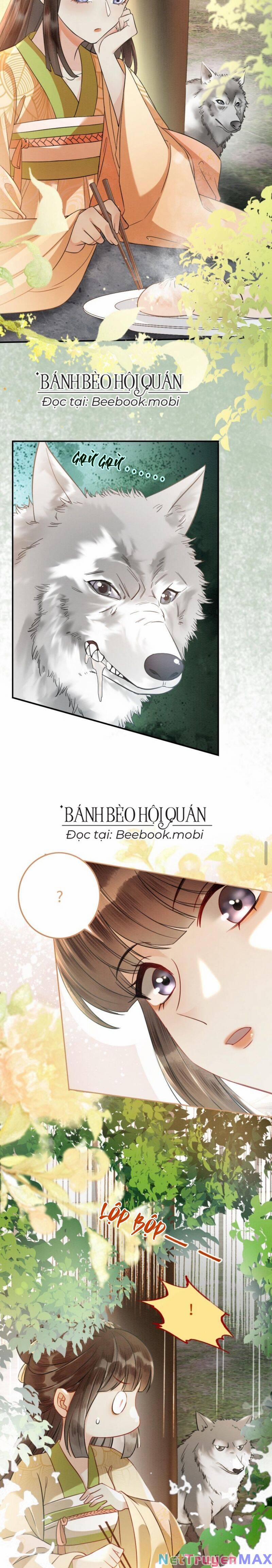 Báo Cáo Nhiếp Chính Vương, Đại Lão Nàng Ấy Chuyên Trị Bệnh Liệt Dương. 10 trang 8