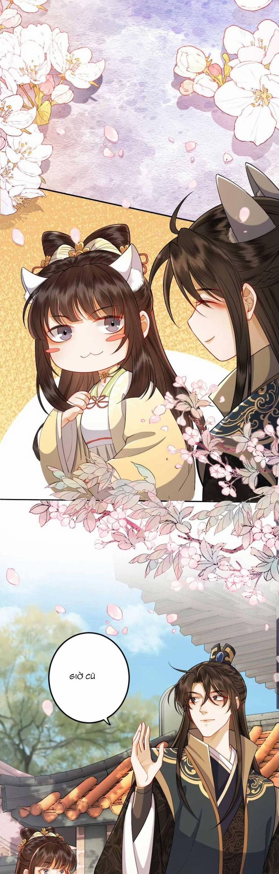 Báo Cáo Nhiếp Chính Vương, Đại Lão Nàng Ấy Chuyên Trị Bệnh Liệt Dương. 145 trang 7